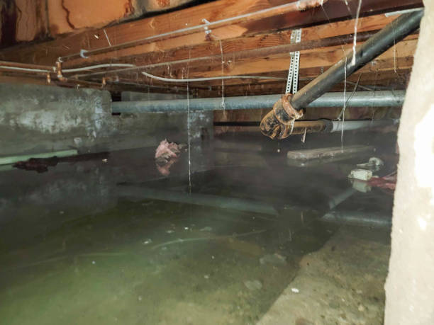 Best Residential water damage restoration  in Westfield, PA
