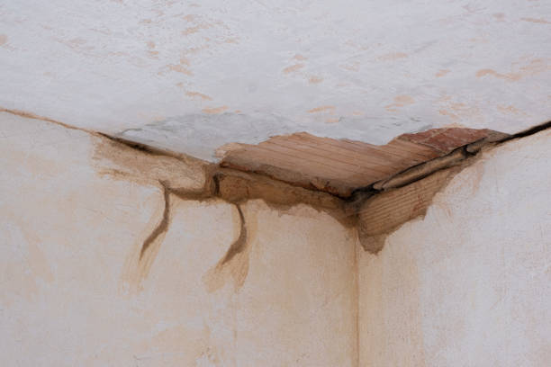 Best 24-hour water damage restoration  in Westfield, PA