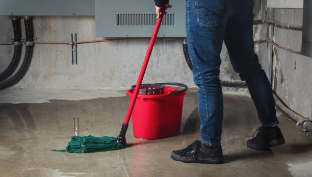 Best Mold removal after water damage  in Westfield, PA