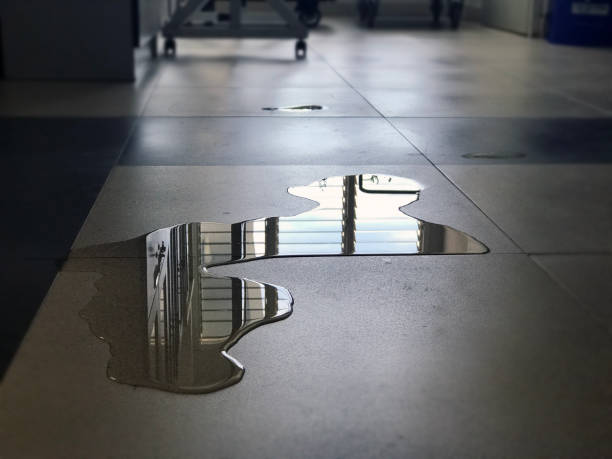 Best Water damage repair service  in Westfield, PA