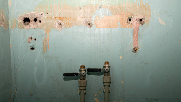 Best Sewage cleanup and water damage restoration  in Westfield, PA