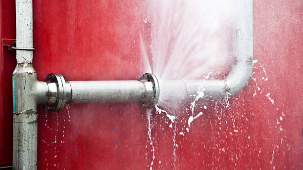 Best Flood restoration services  in Westfield, PA